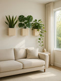Three square fluted wall planters mounted above a living room sofa