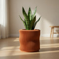 Soft Organic fluted 3D printed desk planter with hidden twist-lock drip tray