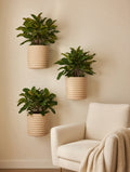 Knit Stack wall planter mounted on a living room wall in natural light