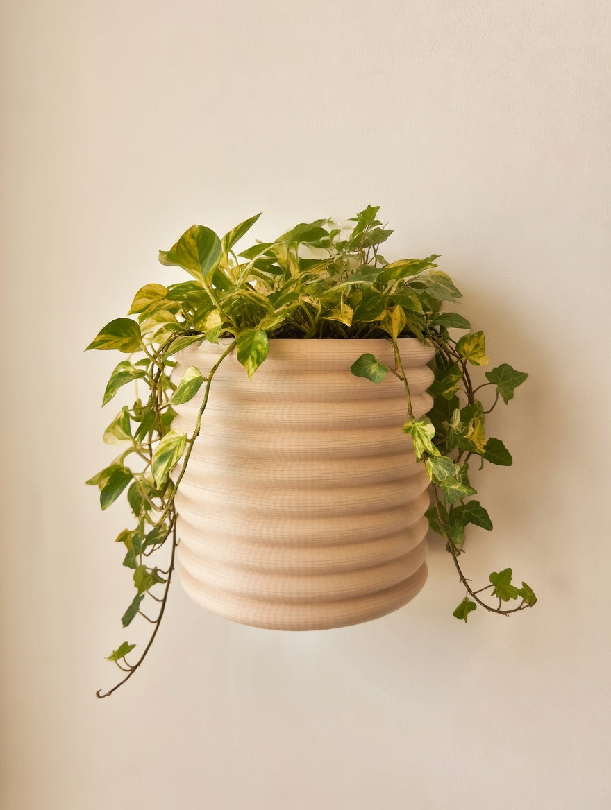 Natural wood tone Knit Stack wall planter with trailing plant