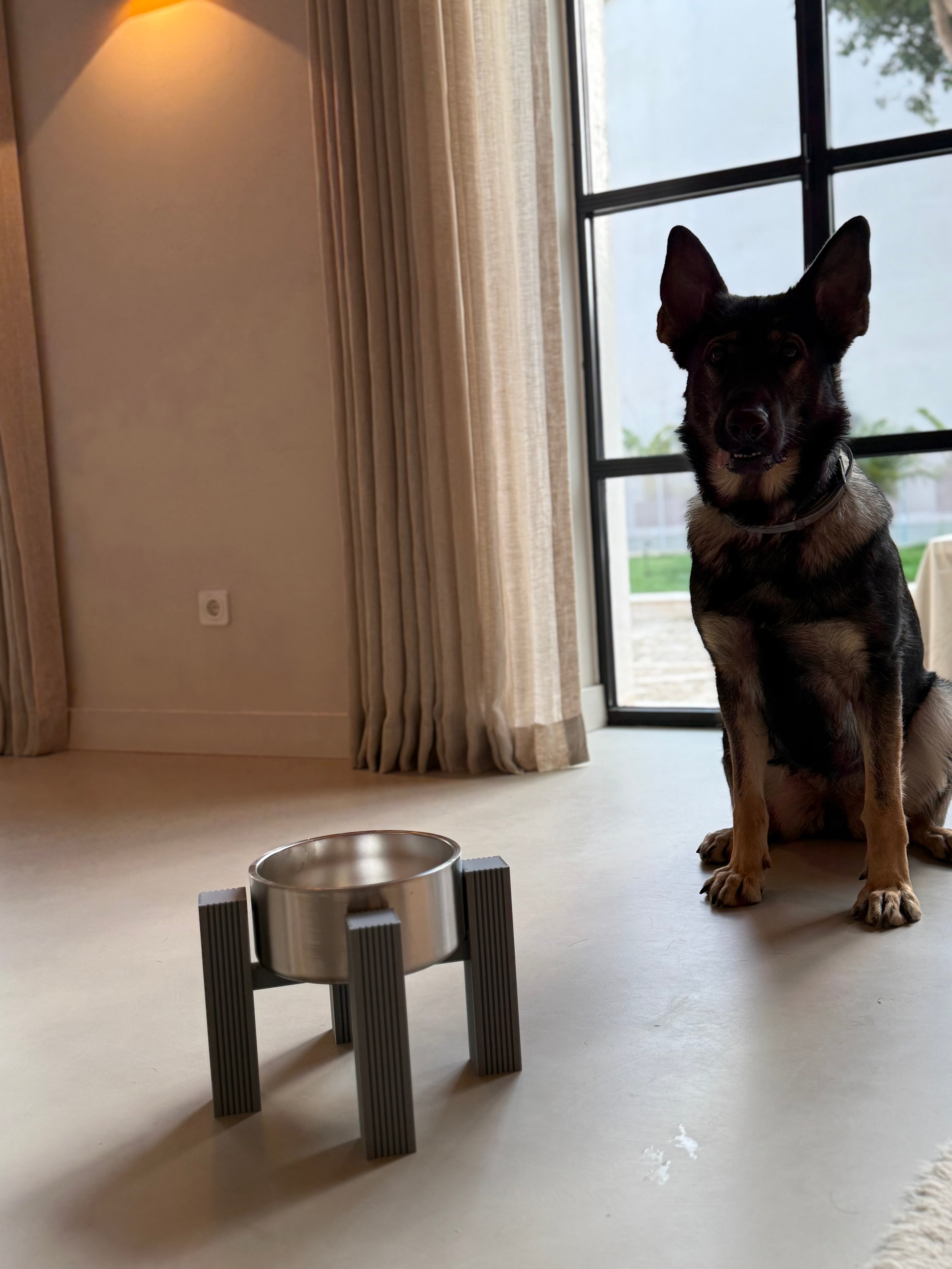 Dog standing alert beside the square fluted elevated bowl stand