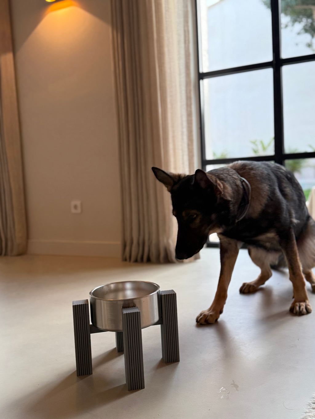 Dog approaching the raised feeding station with square fluted legs