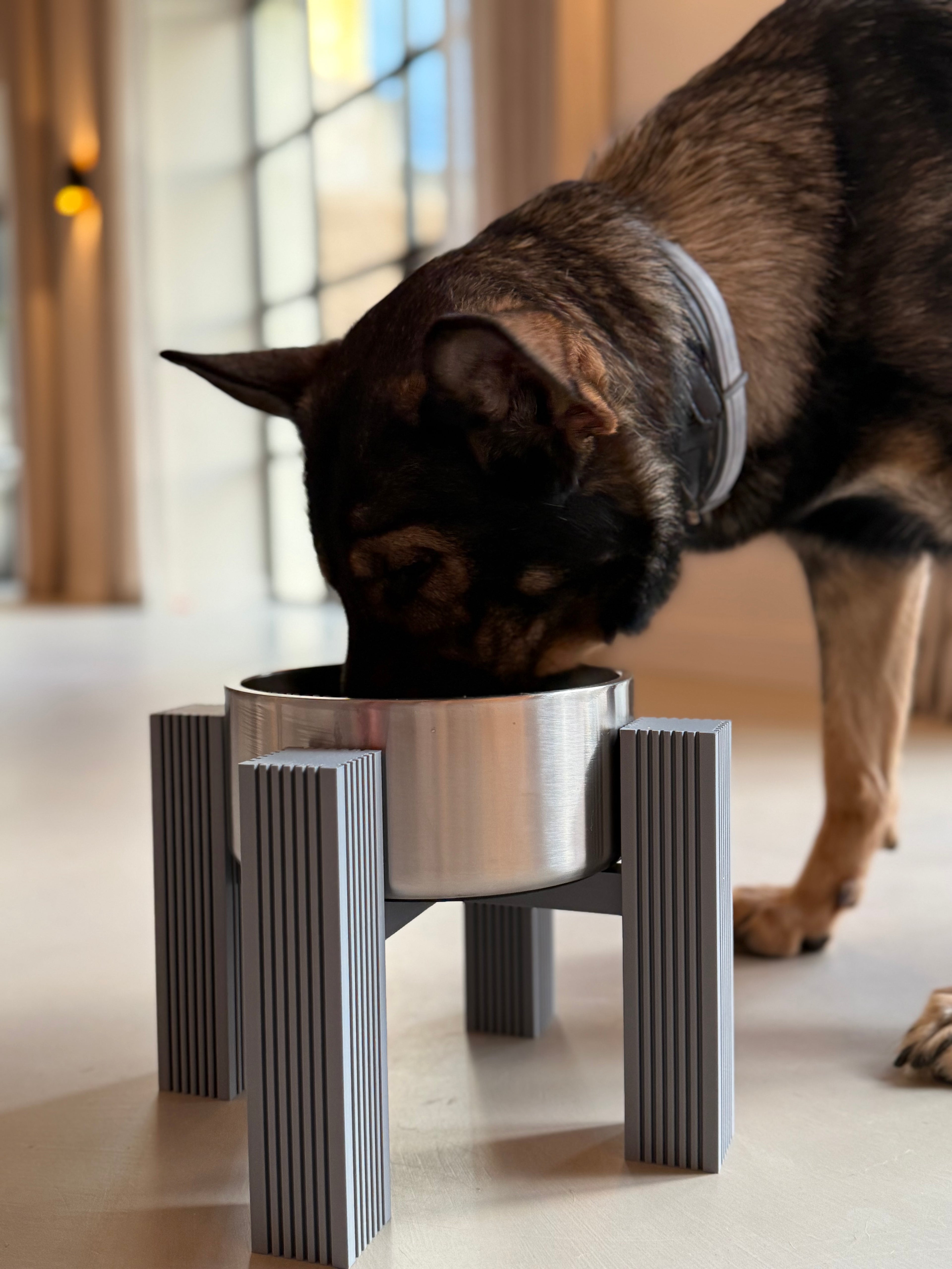 Close-up of the square fluted column legs while a dog eats