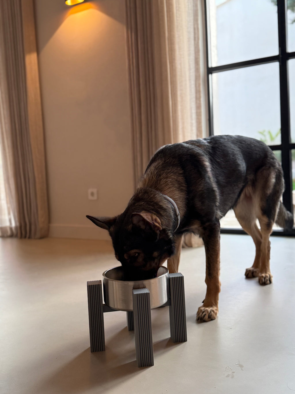 Dog eating from an elevated square fluted bowl stand, front close-up