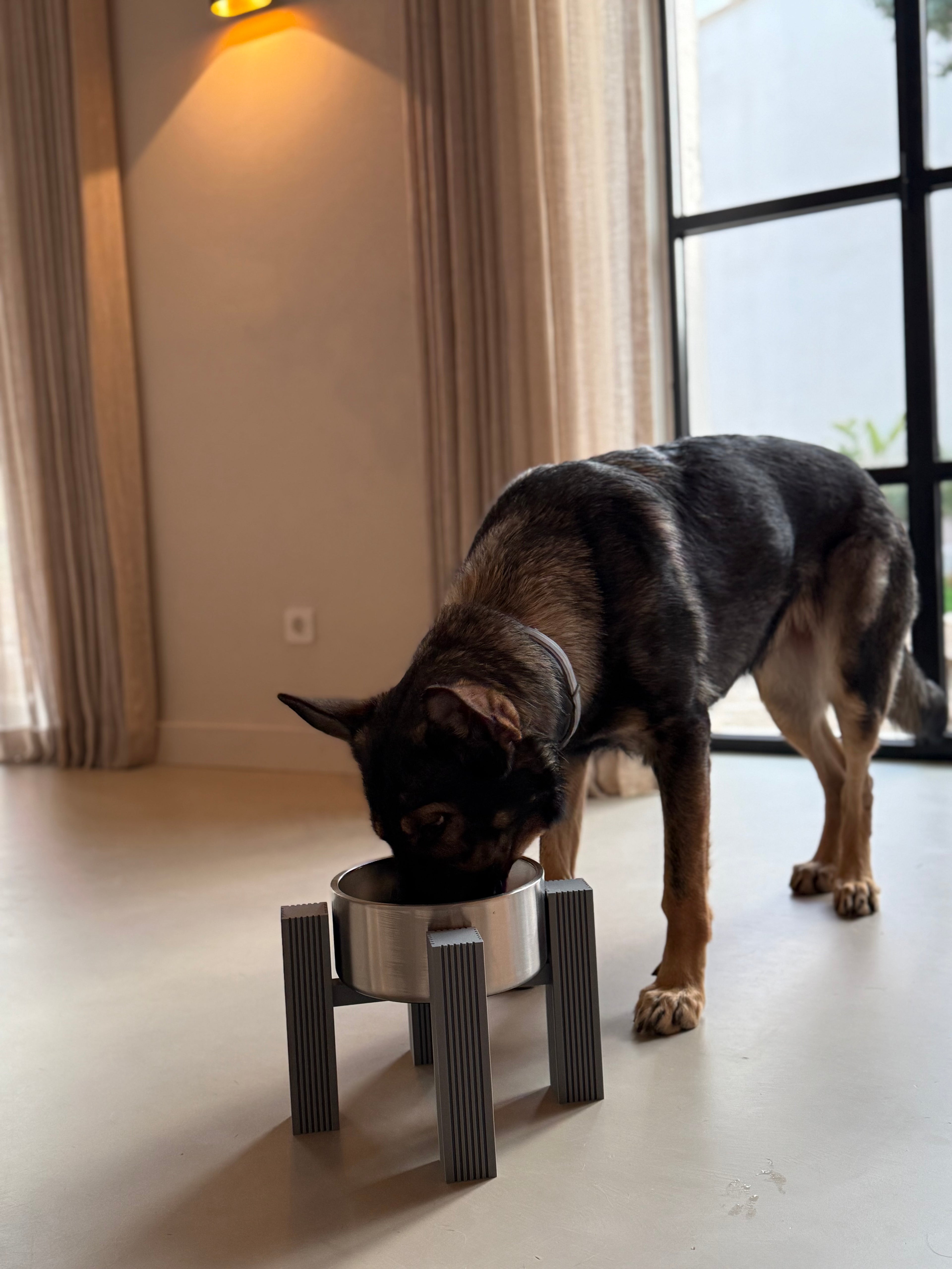 Dog eating from an elevated square fluted bowl stand, front close-up