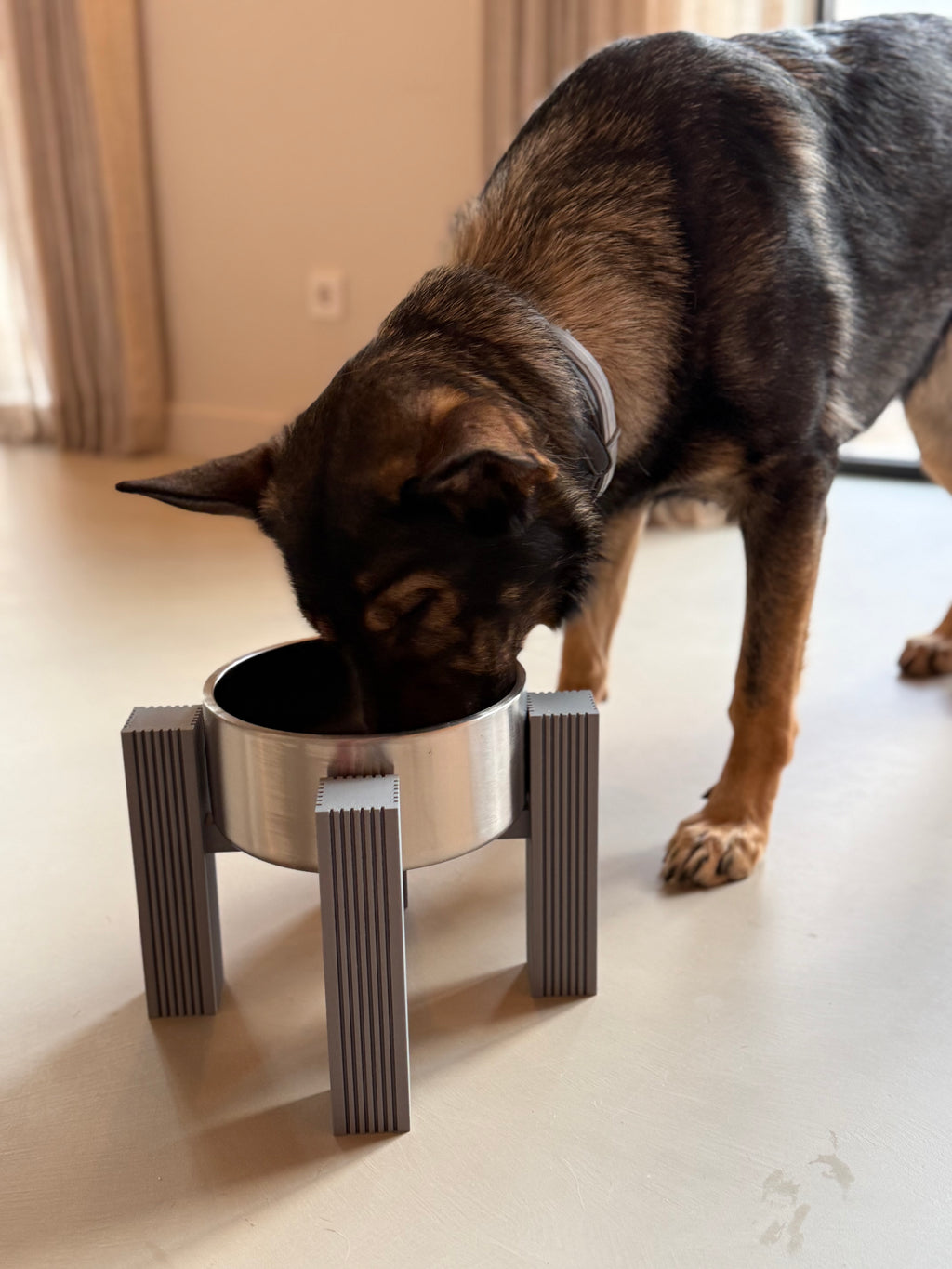Crossbar frame detail of the elevated dog bowl stand during feeding