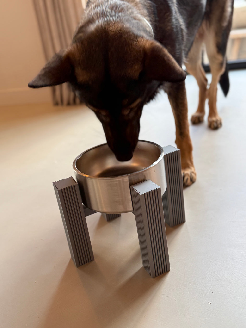 Low-angle view of a dog eating from the square fluted bowl stand
